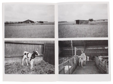 ジン――創作のルーツをサラリと