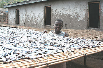 Chapter12：アフリカの子どもたちの現実－I