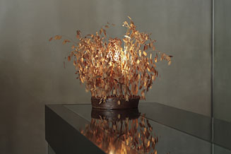 第40回<br>「住」にまつわる話_秋の照明編