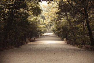 第40回<br>「住」にまつわる話_秋の照明編