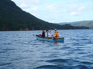 始めてます、新しいチャレンジいろいろ＋α（1）