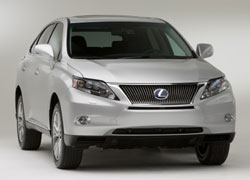 ダミアーニの新しきアイコン<br><br>ゴールドとダイヤモンドの名手が生み出したナチュラルな世界観