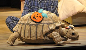 人生で二番目にタイヘンな舞台<br><br>『グッドナイト・スリイプタイト』閉幕に寄せて