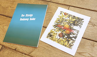 第41回　ロー・アスリッジ個展『グッドナイトフラワーズ』（その1）