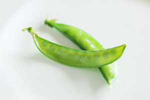第50回 「食」にまつわる話_春の豆編(前編)