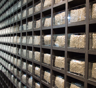 ツアー42日目│2009.04.28の1枚