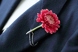 第52回　「衣」にまつわる話＿花のかたち編