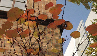 327_02_tsukada0911