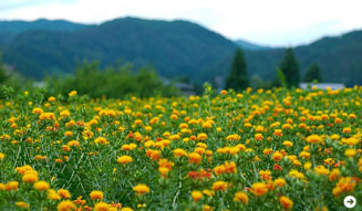 327_tsuika_photo01