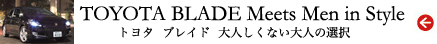 100106_toyota_banner