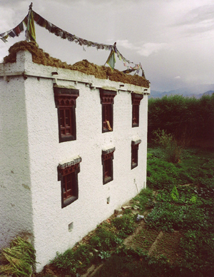 Twiggy(ツイギー)|アフリカのセネガル