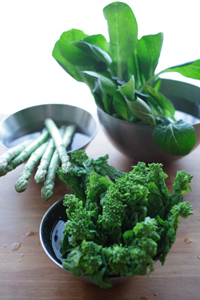 <br /><br /><h1>第8回 パンクの女王の倫理的な活動</h1><br /><p>