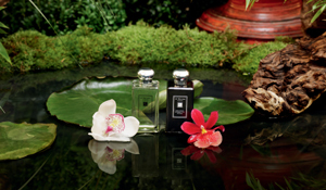 Jo Malone|ジョー マローン