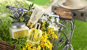 L’OCCITANE|ロクシタン