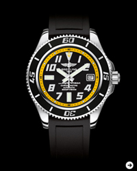 200_01_BlackbirdBlacksteel