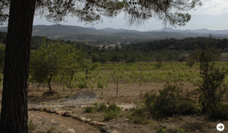 Can Lluc Agroturisme 02