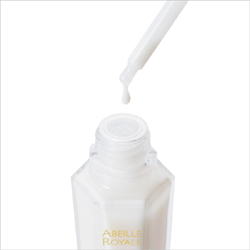 8月22日（日）＜ライカ＞親子写真セミナー