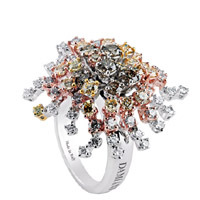 DAMIANI｜ダミアーニ