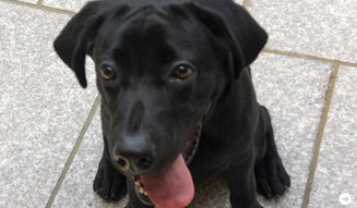 SAKURA｜モデル｜ビューティジャーナリスト｜ハイアットリージェンシー箱根リゾート＆スパ 02