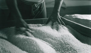 和醸和楽|わじょうわらく|黒龍|黒龍酒造