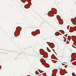 ラットホールギャラリー|「Roni Horn」開催 photo 03