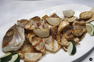 more trees night vol.2 03