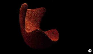 伊藤嶺花|いとうれいか|ニコライ・バーグマン|フラワーアーティスト|スピリチュアル対談 08