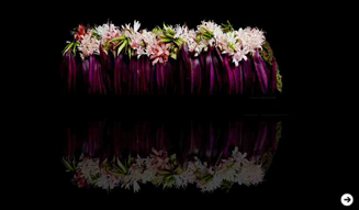 伊藤嶺花|いとうれいか|ニコライ・バーグマン|フラワーアーティスト|スピリチュアル対談 09