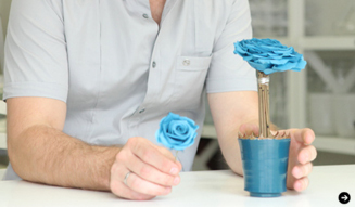 伊藤嶺花|いとうれいか|ニコライ・バーグマン|フラワーアーティスト|スピリチュアル対談 10