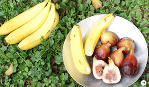 スムージー|いちじく|酵素 02