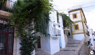 Ibiza Chillout Lounge Vol.04｜03