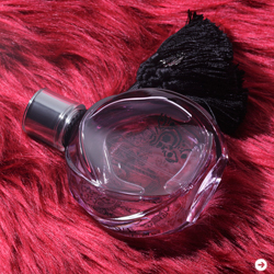 フレグランス｜2010年秋｜新作｜ロエベ