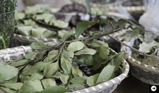 Gamila Secret|ガミラシークレット|ガミラ・ジアー インタビュー