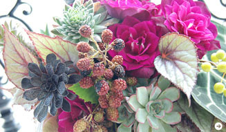 和気雅美|秋の花 02