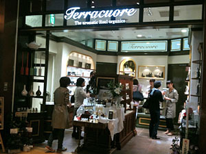 テラクオーレ|ショップ 02