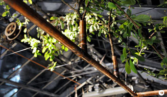 温室｜月夜の読書会 02