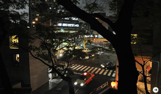 温室｜月夜の読書会 03