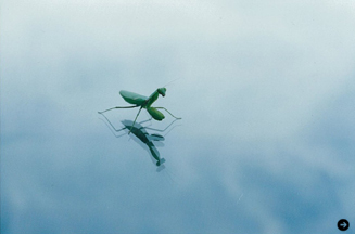 井上佐由紀 「森は少し遠い」 #2