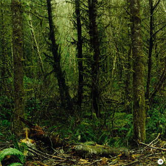 澁谷征司 「Aberdeen」 #2 (2006年)