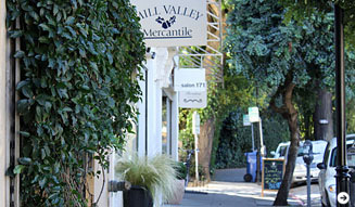 Yoko Ueno Lewis｜土佐龍 06