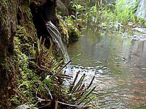 和醸和楽|宝剣酒造 04