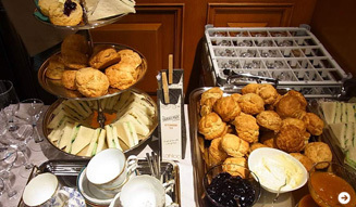 信國太志｜ボタニカ｜タイシノブクニ 02