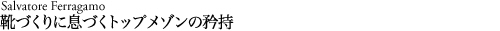 hubtxt_20101122_ferragamo