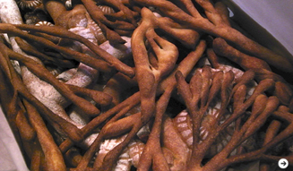 Twiggy 20th anniversary party04