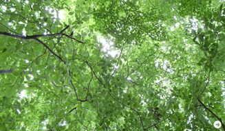 連載|生方ななえ 第七回