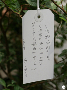 Audi｜アウディ Audi Forum Tokyoにて写真展開催｜04