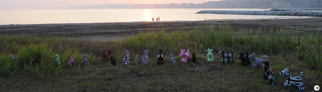 INTERVIEW|写真家 堀 清英 写真集『いぬまるけ Dogs…anywhere』刊行 02