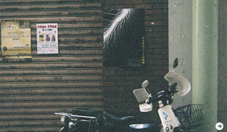 島田明|杉本博司 02