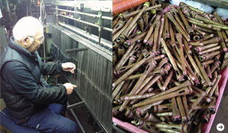 信國太志｜葛利毛織 02