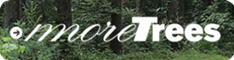 banner_moretrees_06